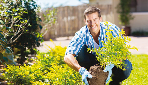 Gärtner/in - Obstbau Gärtner/in - Obstbau