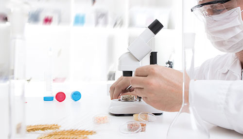 Landwirtschaftlich-technische/r Assistent/in Landwirtschaftlich-technische/r Assistent/in