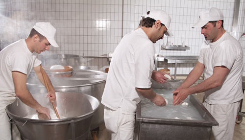 Milchtechnologe/-technologin Milchtechnologe/-technologin