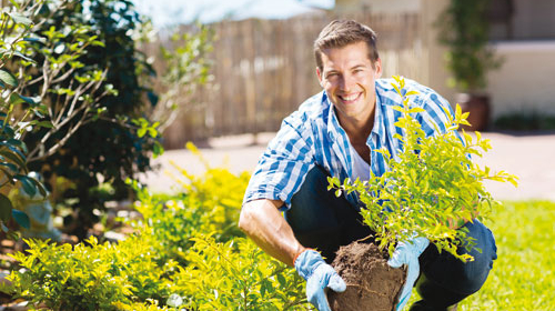 Gärtner/in - Garten- und Landschaftsbau (m/w/d)