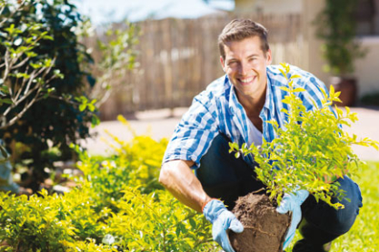 Gärtner/in - Garten- und Landschaftsbau (m/w/d)