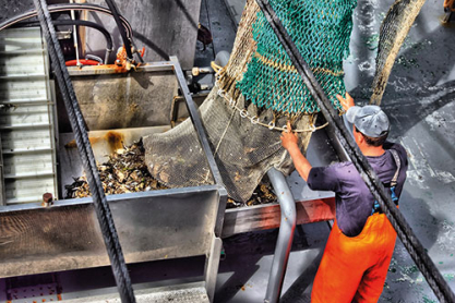 Fischwirt/in - Kleine Hochsee- und Küstenfischerei