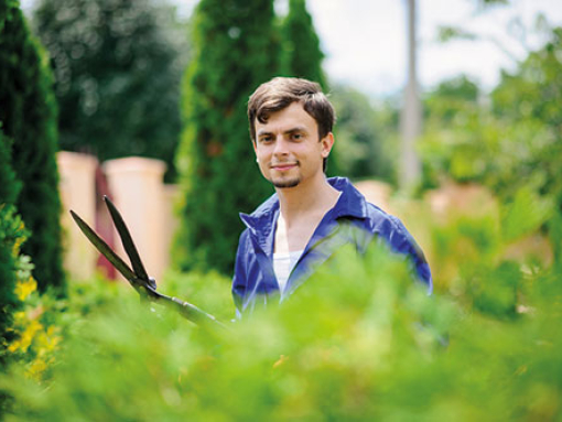 Bild für Berufsfeld Landwirtschaft, Natur, Umwelt