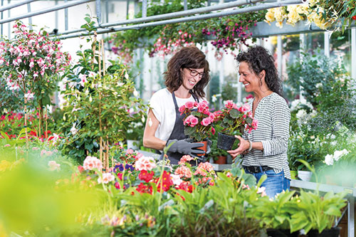 Gärtner/in - Zierpflanzenbau(m/w/d)