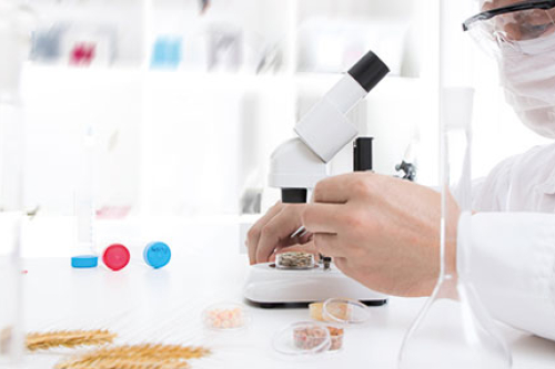 Landwirtschaftlich-technische/r Assistent/in(m/w/d)