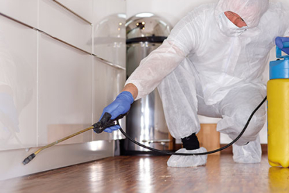 Schädlingsbekämpfer/in