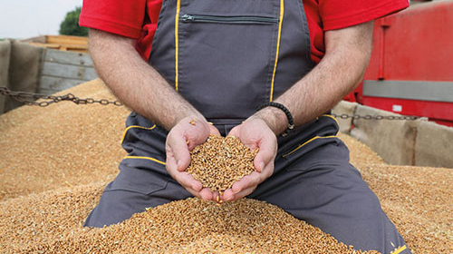 Verfahrenstechnologe/-technologin - Mühlen- und Getreidewirtschaft - Müllerei (m/w/d)