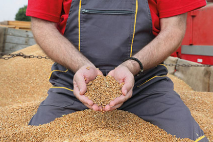 Verfahrenstechnologe/-technologin - Mühlen- und Getreidewirtschaft - Müllerei (m/w/d)