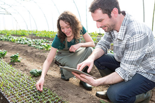 Pflanzentechnologe/-technologin(m/w/d)