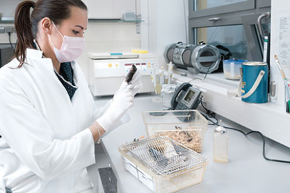 Tierpfleger/in - Forschung und Klinik