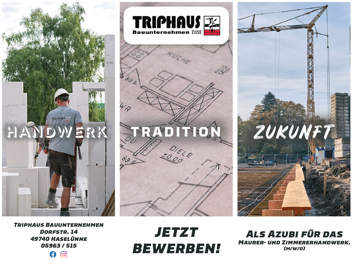 Triphaus Bauunternehmen GmbH & Co. KG