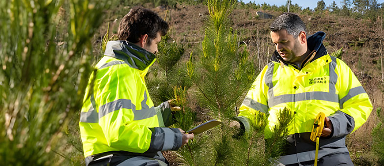 Sonae Arauco Deutschland GmbH