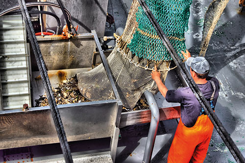 Fischwirt/in - Kleine Hochsee- und Küstenfischerei(m/w/d) Fischwirt/in - Kleine Hochsee- und Küstenfischerei(m/w/d)