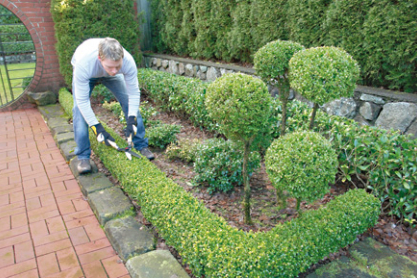 Gärtner/in - Friedhofsgärtnerei Gärtner/in - Friedhofsgärtnerei