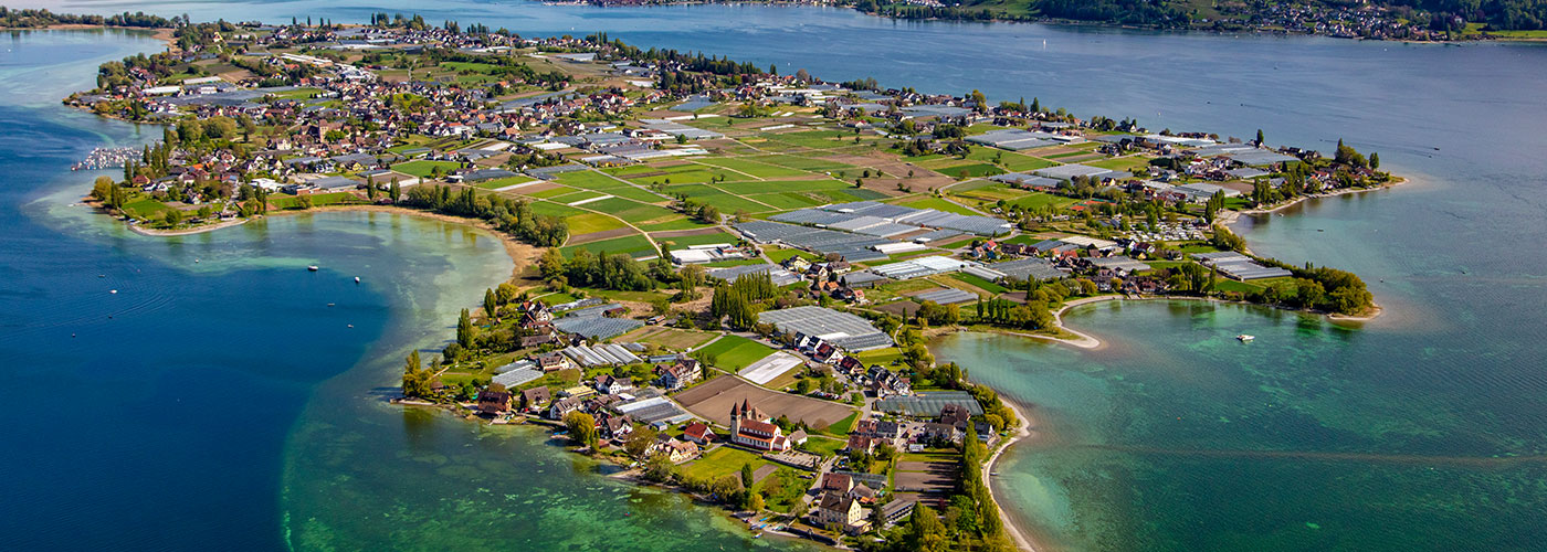 Reichenau-Gemüse eG Reichenau-Gemüse eG